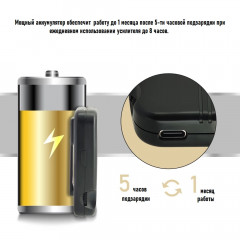 Цифровой усилитель звука Острослух-302C